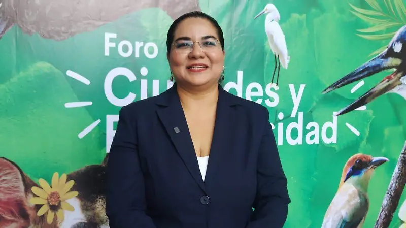 diputada